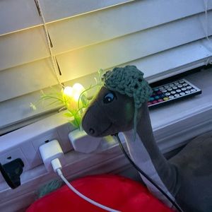 Meet your Posher, Gracie